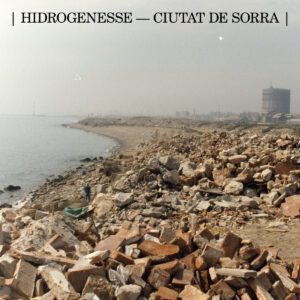 Hidrogenesse
